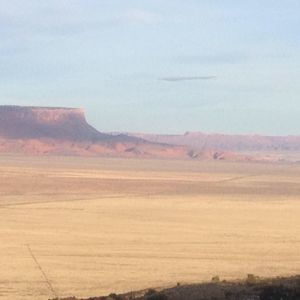 Meet your Posher, Leigh